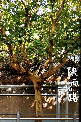 人文地理纪录片《陕西北路》下载-零三纪录片资源网