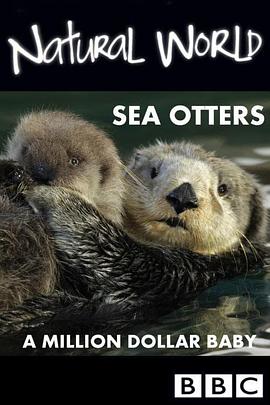 自然纪录片《自然世界：海獭的百万宝宝 Sea Otters: A Million Dollar Baby》下载-零三纪录片资源网