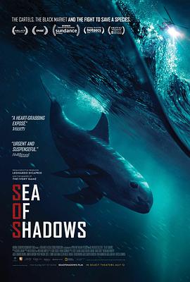 自然纪录片《暗海 Sea of Shadows》下载-零三纪录片资源网