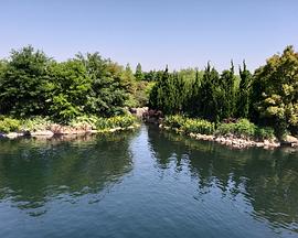 纪录片《不为人知的迪士尼乐园 Undiscovered Walt Disney World》下载-零三纪录片资源网