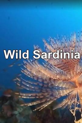自然纪录片《野性撒丁岛 Wild Sardinia》下载-零三纪录片资源网