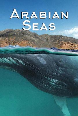自然纪录片《阿拉伯海 第一季 Arabian Seas Season 1》下载-零三纪录片资源网