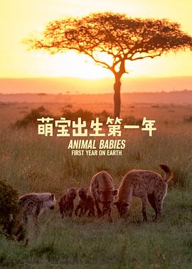 萌宝出生第一年 Animal Babies: First Year on Earth的海报
