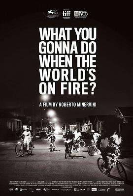 战火蔓延,尔等何为 What You Gonna Do When The World's On Fire?的海报