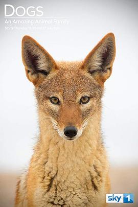 神奇的犬科家族 第一季 Dogs: An Amazing Animal Family Season 1的海报
