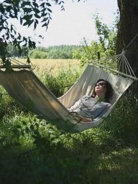 社会生活纪录片《午睡的艺术 The Art of Napping》下载-零三纪录片资源网