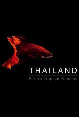 人文地理纪录片《泰国：地球上的赤道天堂 Thailand: Earth's Tropical Paradise》下载-零三纪录片资源网
