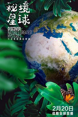 秘境星球 Mysterious Planet的海报