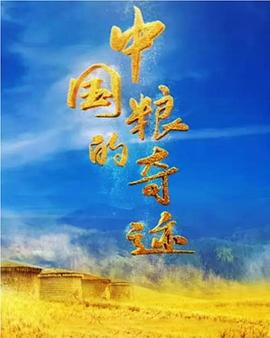 中国粮的奇迹的海报