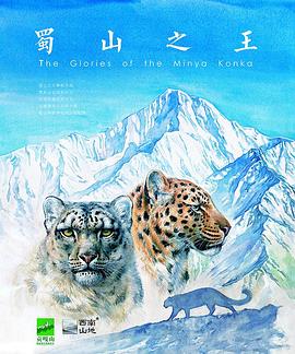 蜀山之王的海报