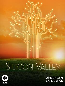 纪录片《硅谷 Silicon Valley》下载-零三纪录片资源网