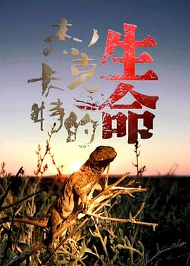 自然纪录片《杰克卡特的生命》下载-零三纪录片资源网