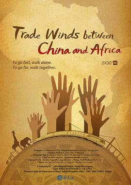 与非洲同行的海报