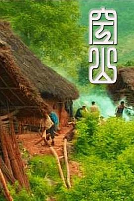 社会生活纪录片《空山》下载-零三纪录片资源网