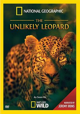 自然纪录片《花豹传奇 The Unlikely Leopard》下载-零三纪录片资源网