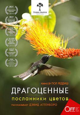 自然纪录片《蜂鸟：宝石般的信使 Hummingbirds Jewelled Messengers》下载-零三纪录片资源网