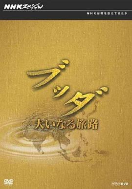 探索纪录片《寻根探源话佛教 Asia:Outer Space of the Heart》下载-零三纪录片资源网