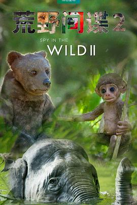 自然纪录片《荒野间谍 第二季 Spy in the Wild Season 2》下载-零三纪录片资源网