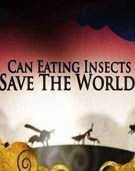 纪录片《吃昆虫能拯救世界吗？ Can Eating Insects Save the World?》下载-零三纪录片资源网