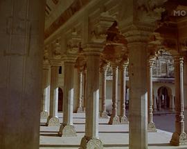 自然纪录片《印度：老虎王国 India: Kingdom of the Tiger》下载-零三纪录片资源网