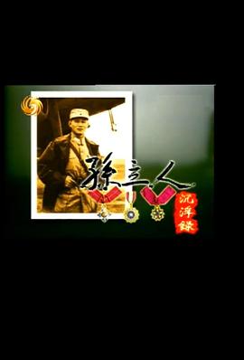 历史，传记纪录片《孙立人沉浮录》下载-零三纪录片资源网