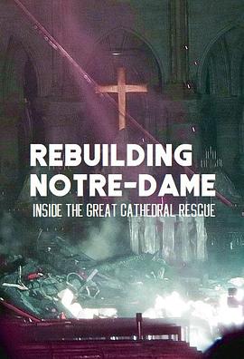 纪录片《古教堂大救援：争分夺秒拯救巴黎圣母院 Rebuilding Notre Dame: Inside the Great Cathedral Rescue》下载-零三纪录片资源网