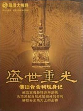 盛世重光:佛顶骨舍利现身记的海报