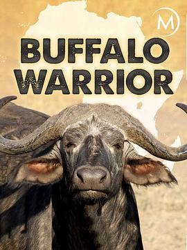 自然纪录片《国家地理：水牛战士 National Geographic: Buffalo Warrior》下载-零三纪录片资源网