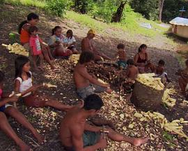 自然纪录片《尚米榭库斯托海洋探险 Jean-Michel Cousteau: Ocean Adventures》下载-零三纪录片资源网