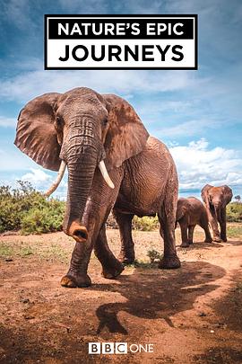 自然纪录片《自然史诗之旅 Nature's Epic Journeys》下载-零三纪录片资源网