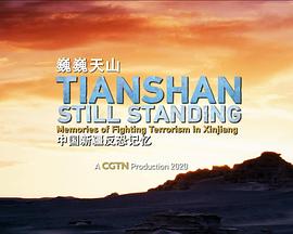 社会生活纪录片《巍巍天山——中国新疆反恐记忆》下载-零三纪录片资源网