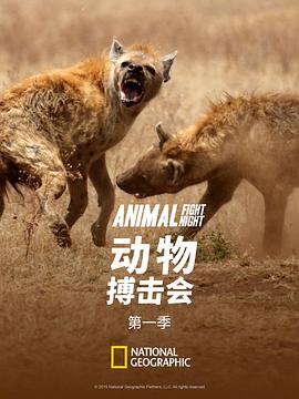 纪录片《动物搏击会 第一季 Animal Fight Night Season 1》下载-零三纪录片资源网