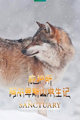 自然纪录片《庇护所:阿尔卑斯山求生记 Le plus beau pays du monde 3 : Le sanctuaire》下载-零三纪录片资源网