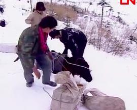 人文地理纪录片《最后的马帮》下载-零三纪录片资源网