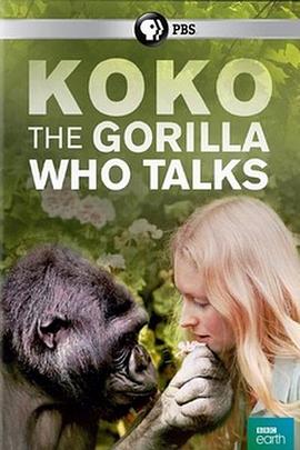 纪录片《可可：能和人类说话的大猩猩 Koko: The Gorilla Who Talks to People》下载-零三纪录片资源网