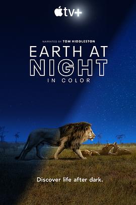 自然纪录片《夜色中的地球 第一季 Earth at Night in Color Season 1》下载-零三纪录片资源网