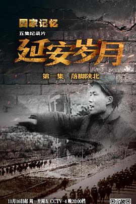历史纪录片《延安岁月》下载-零三纪录片资源网