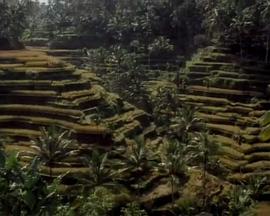 鬼斧神工巴里岛 BALI : MASTERPIECE OF THE GODS的海报