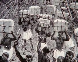 探索纪录片《寻宝人系列：非洲古文明 Treasure Seekers: Africa's Forgotten Kingdom》下载-零三纪录片资源网