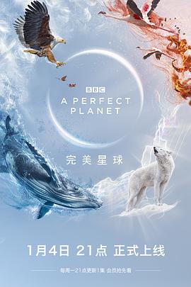 纪录片《完美星球 A Perfect Planet》下载-零三纪录片资源网