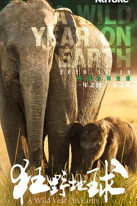 自然纪录片《狂野地球 A Wild Year on Earth》下载-零三纪录片资源网