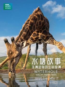 自然纪录片《水塘故事：非洲动物的生命绿洲 Waterhole Africa's Animal Oasis》下载-零三纪录片资源网