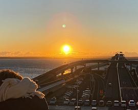 社会生活纪录片《纪实72小时：年末的观景台 海萤停车场 ドキュメント72時間：海ほたるパーキングエリア 年の瀬の展望台で》下载-零三纪录片资源网