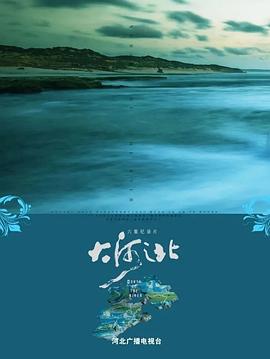 大河之北的海报