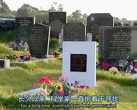 健康&医学纪录片《地平线系列：过敏世界 Horizon : Allergy Planet》下载-零三纪录片资源网