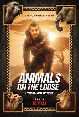 你的荒野求生电影版:出逃的野兽 Animals on the Loose: A You vs. Wild Movie的海报