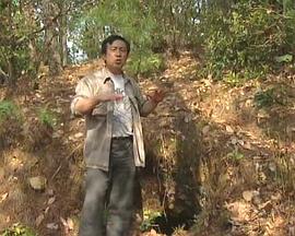 历史纪录片《被遗忘的战场-滇缅公路》下载-零三纪录片资源网