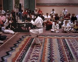 探索纪录片《极限武术 Xtreme Martial Arts》下载-零三纪录片资源网