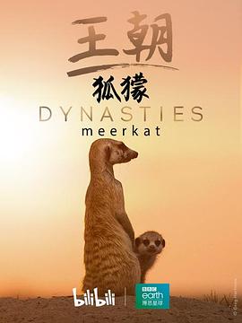 王朝:狐獴特辑 Dynasties: Meerkat Special的海报