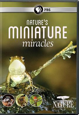自然纪录片《大自然：自然界的微型奇迹 Natural World:Nature's Miniature miracles》下载-零三纪录片资源网